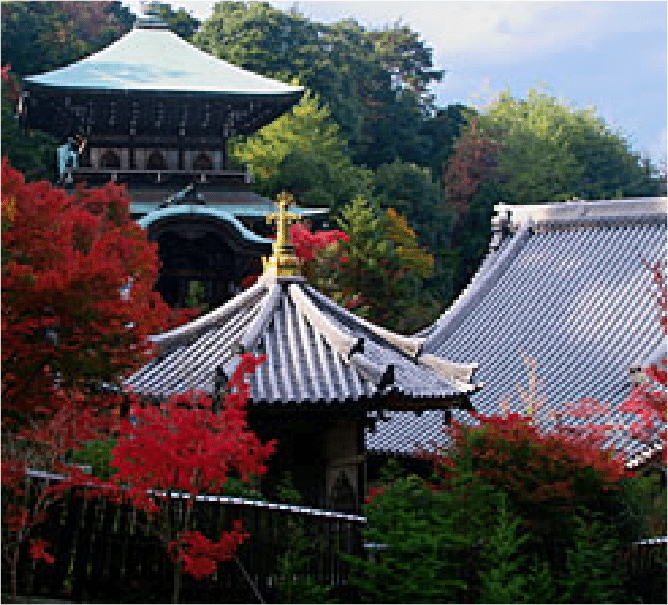 Daishoin Temple