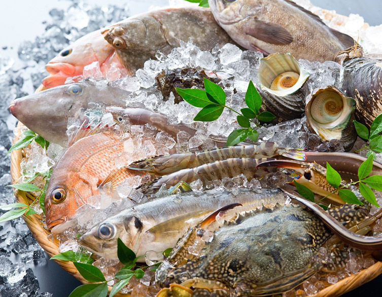 モリワキ水産