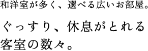 和洋室が多く、選べる広いお部屋。ぐっすり、休息がとれる客室の数々。