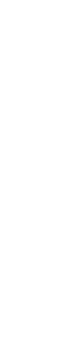 部屋に差し込む柔らかな光心穏やかに過ごす時。