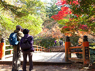 紅葉谷公園