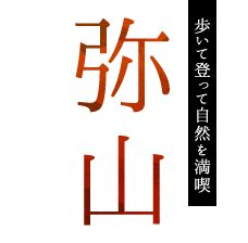 歩いて登って自然を満喫弥山