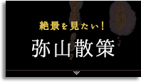 絶景を見たい！弥山散策