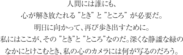 人間には誰にも、心が解き放たれる ”とき” と ”ところ” が必要だ。明日に向かって、再び歩き出すために。私にはここが、その ”とき”と ”ところ”なのだ。深くな静謐な緑のなかにとけこむとき、私の心のカメラには何が写るのだろう。