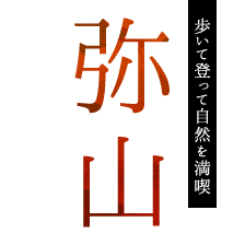 歩いて登って自然を満喫　弥山