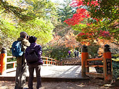 紅葉谷公園